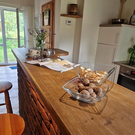 Bieszczadzki Kat Villa Lesko Kültér fotó